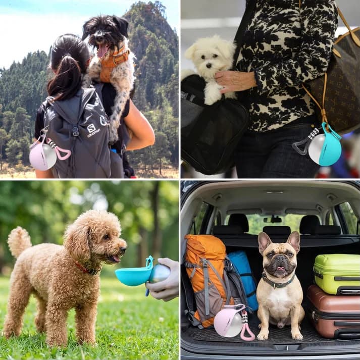 PfotenQuell im Alltag – Wandern, Stadt, Park, Auto